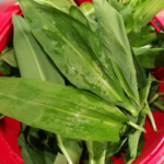 Bärlauchpesto mit leckeren Mandeln